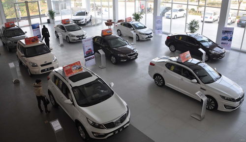 車市遭遇黑天鵝 金九已成爛攤子，銀十恐直接步入寒冬