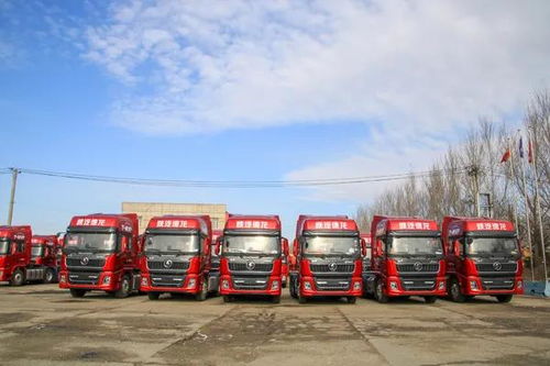 駿博與駿和 以點帶面，實現銷量與服務雙提升的卡車銷售新典范