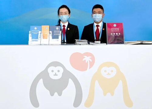 海南自由貿易港知識產權法院全力護航消博會 打造知識產權保護新高地