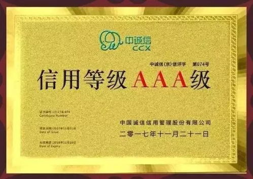 知識產權保護服務可以做到這么大,夢空間會員知呱呱交出超強成績單